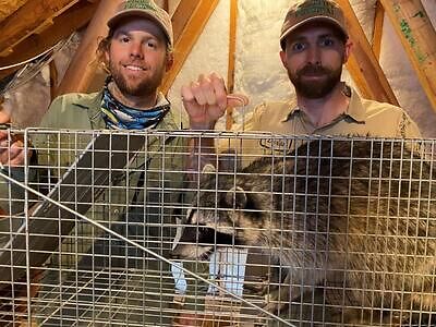 Rochester pest control